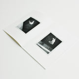 Polaroids 92-95 (CA) - Ari Marcopoulos