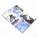 Confusion Issue 29