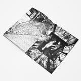 Salami Issue 5