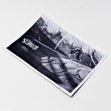 Szrot Issue 19